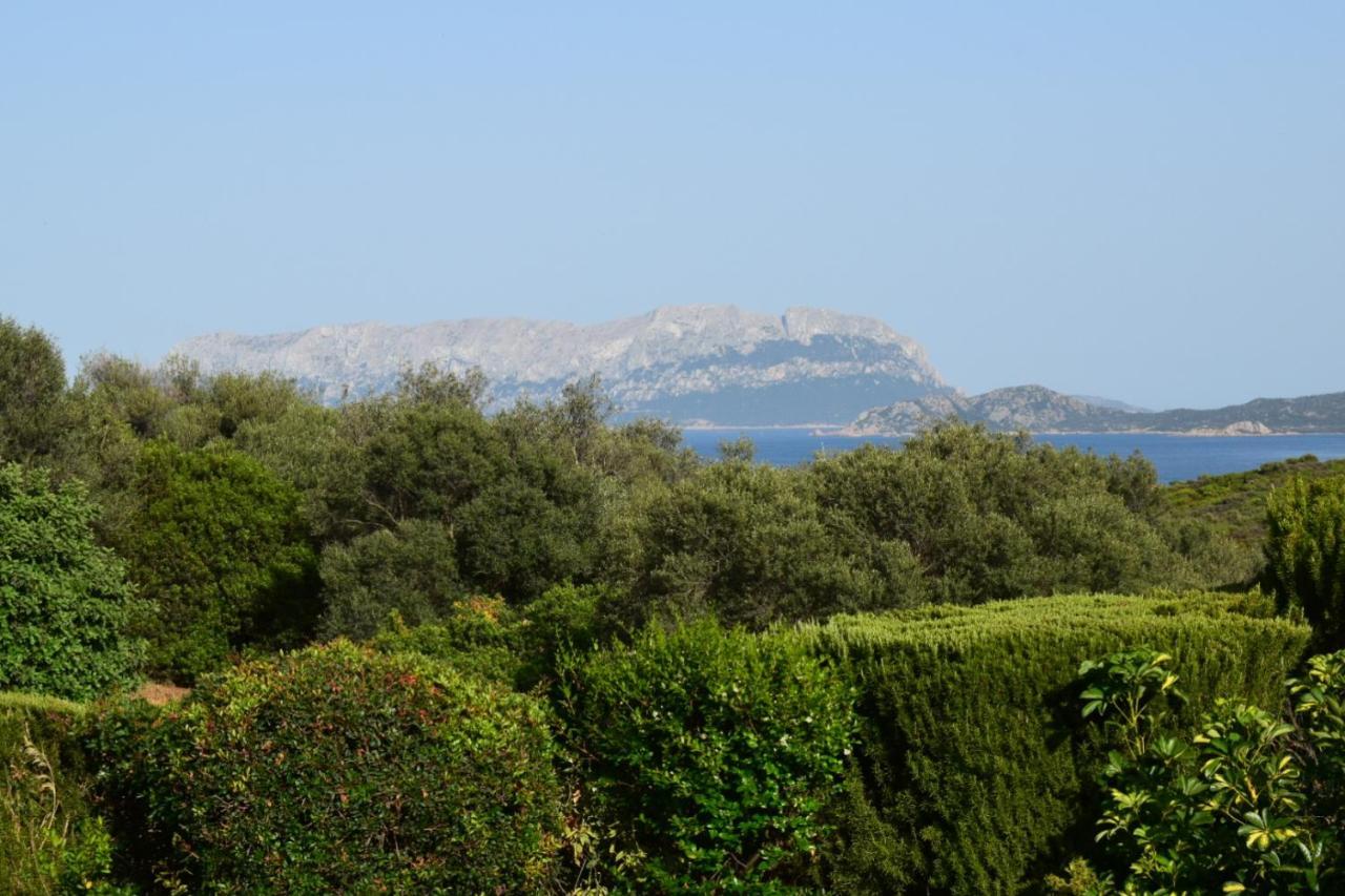 Sa Domitta Di Suiles Apartment Olbia Bagian luar foto