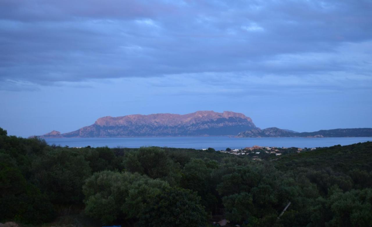 Sa Domitta Di Suiles Apartment Olbia Bagian luar foto
